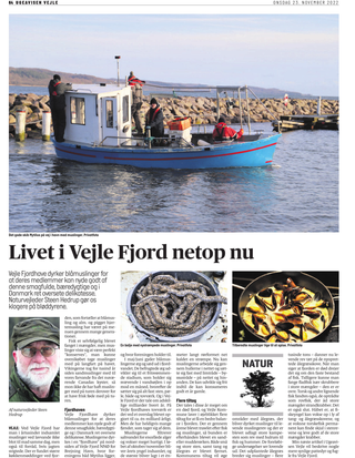 Livet i Vejle Fjord - Vejle Fjordhave